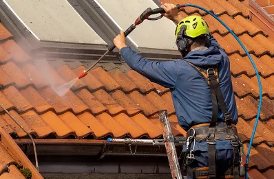 Démoussage et hydrofuge de toiture à Chamoux